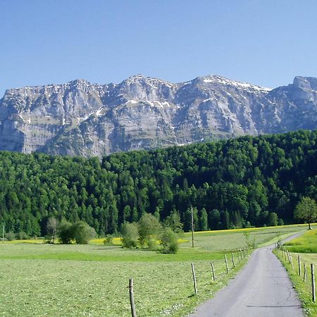 Gasthof Taube بيزاو المظهر الخارجي الصورة