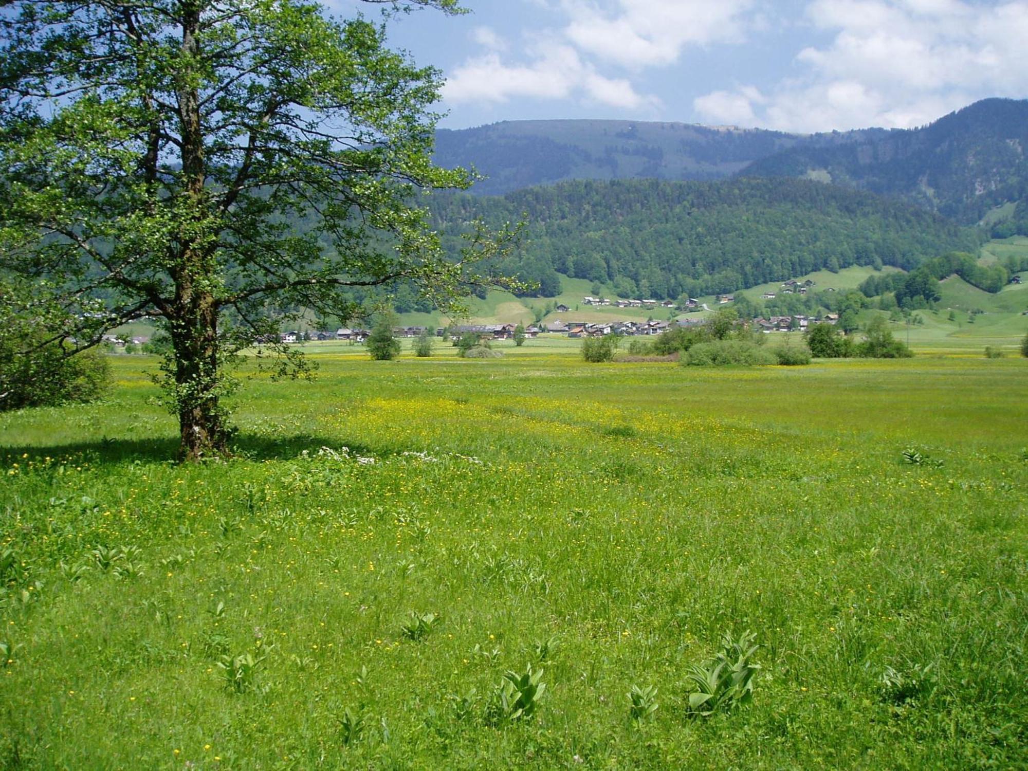 Gasthof Taube بيزاو المظهر الخارجي الصورة